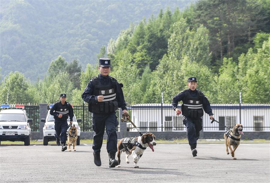 吉林：边境线上的“萌犬奇兵”