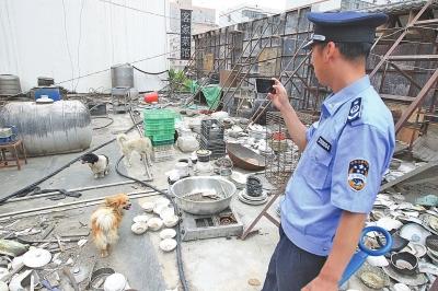 郑州一饭店楼顶养4条流浪狗 被指宰杀小狗做菜