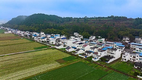 新春走基层|孝行天下德润龙泉 蔬菜产业带动乡村振兴发展_fororder_4村民新居（摄影-廖志全）