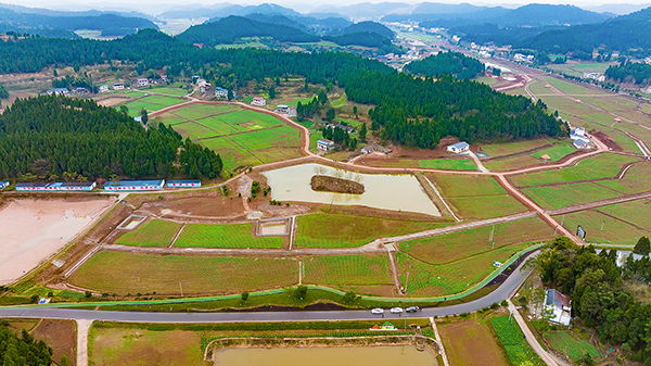 新春走基层|打造农文旅为一体的北纬30°亲子乐园 助推乡村振兴发展_fororder_4永河现代农业园区