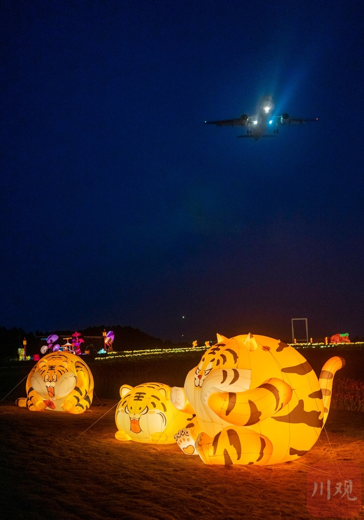 （中首）空港花田亮灯：用大地作画 与飞机打卡