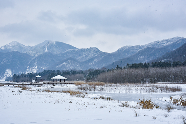 Beautiful Scenery of “Ice Flowers” Appears in Yueba Village, Guangyuan City, Sichuan Province_fororder_3