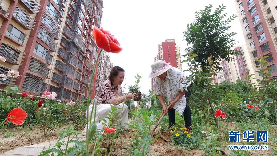 河北唐山：绿地认养 扮靓家园