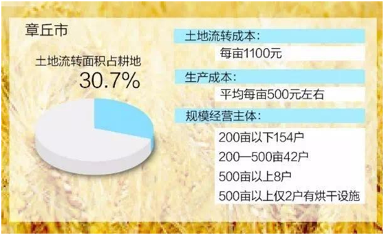 揭秘中国农村：80后不会种地 90后不提种地（图）