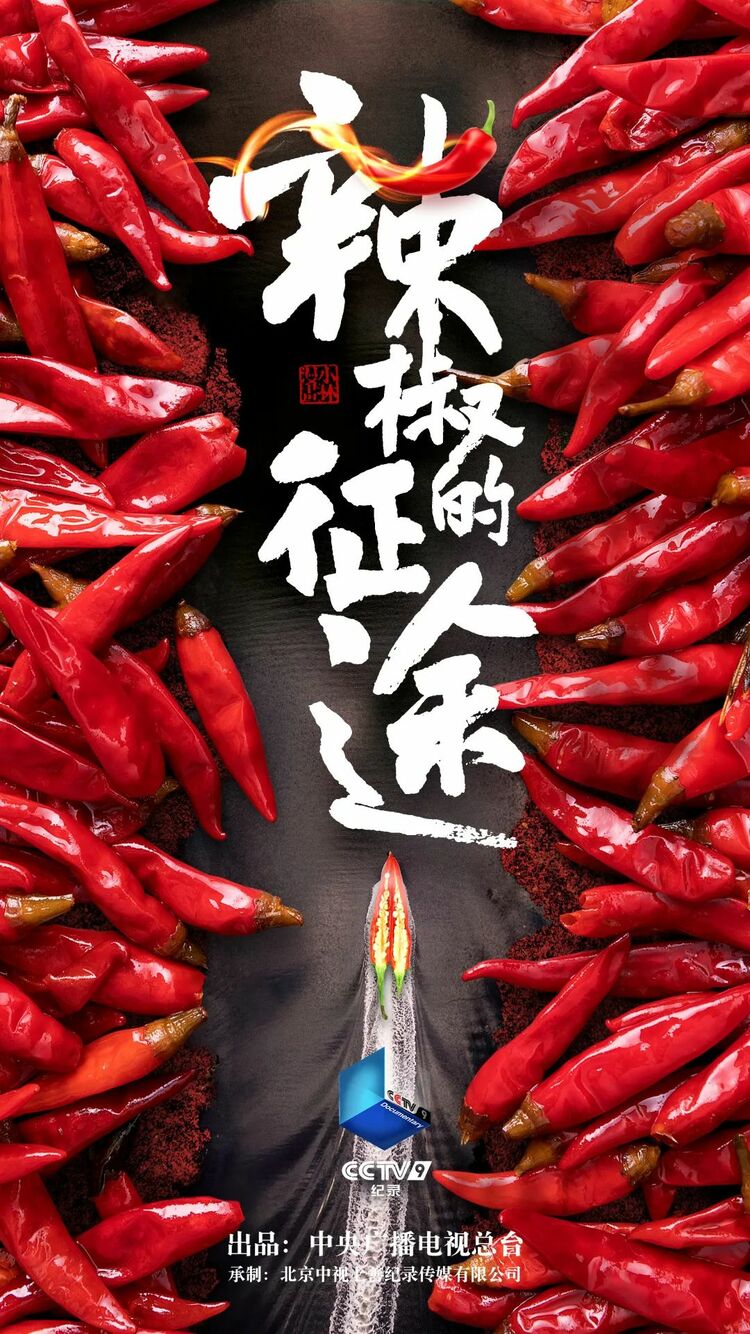 大片陪您过大年！总台多部纪录片佳作新春热播