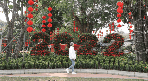 守岗位、逛花市、“古风”游——留学生的“中式style”春节假期