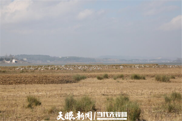 （中首）毕节威宁草海生态治理成效显著