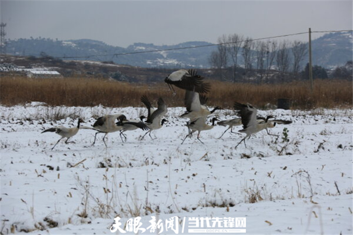 （中首）毕节威宁草海生态治理成效显著