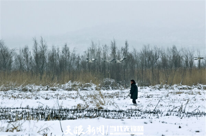 （中首）毕节威宁草海生态治理成效显著