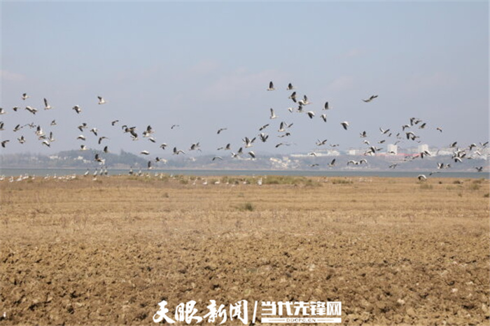 （中首）毕节威宁草海生态治理成效显著