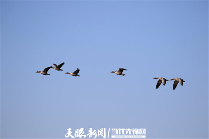 （中首）毕节威宁草海生态治理成效显著