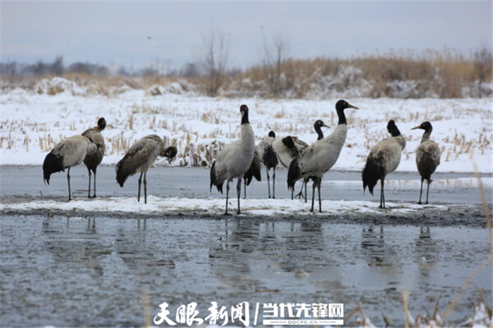 （中首）毕节威宁草海生态治理成效显著