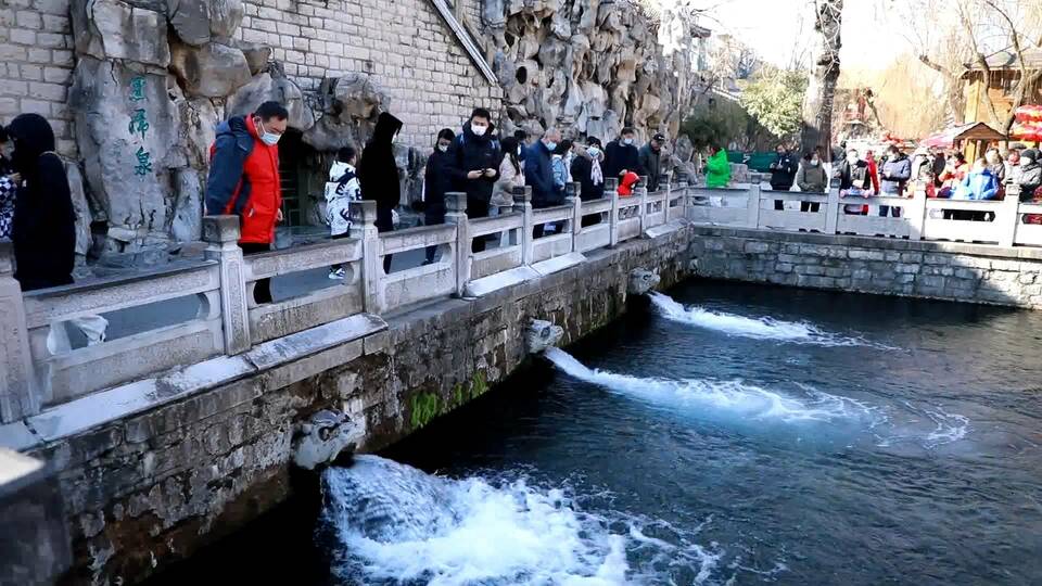 盘点山东“虎”字号景点，新年开启“虎气满满”的旅程