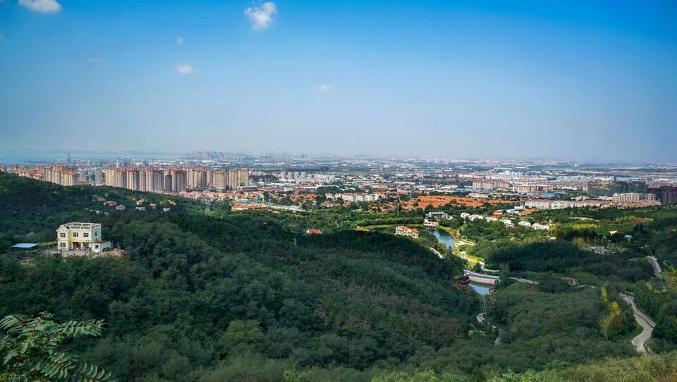 盘点山东“虎”字号景点，新年开启“虎气满满”的旅程