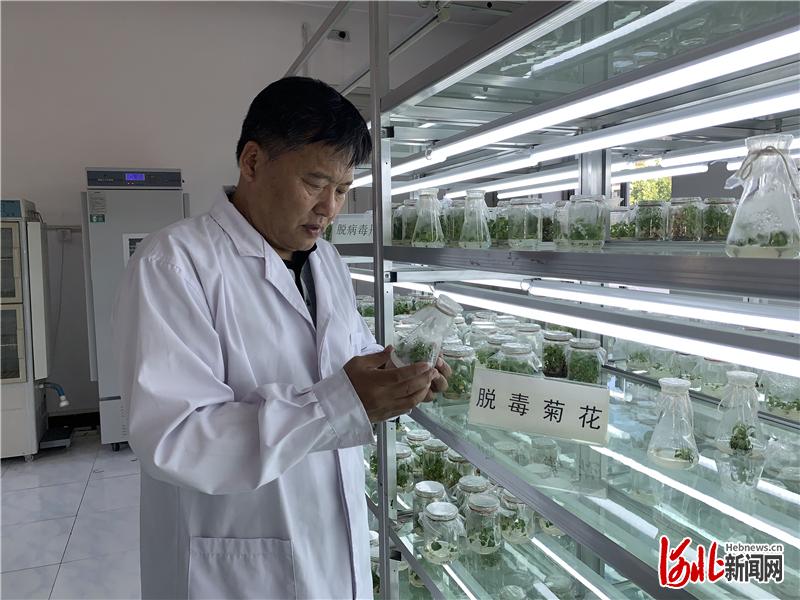 人物｜谢晓亮——用科技给中药材“赋能”