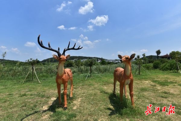 牧童遥指美丽乡村 | 图集