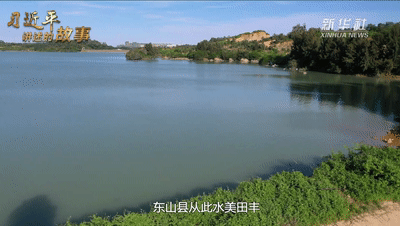 曾经满目疮痍的荒凉海岛，如今美得让人窒息！