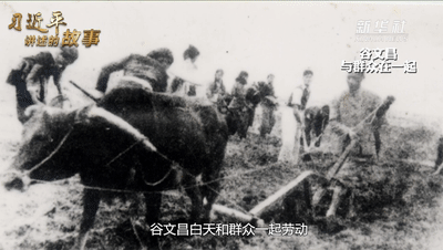 曾经满目疮痍的荒凉海岛，如今美得让人窒息！