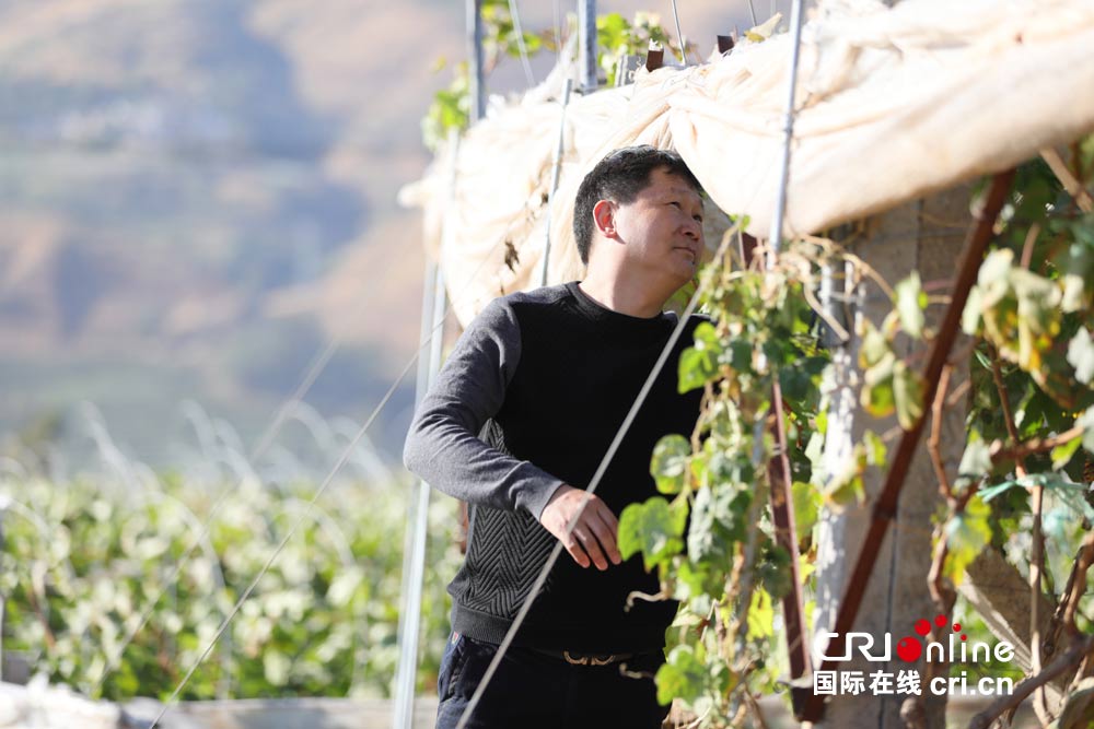 图片默认标题_fororder_6