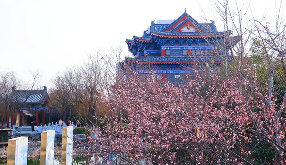 河南开封：古城春意浓