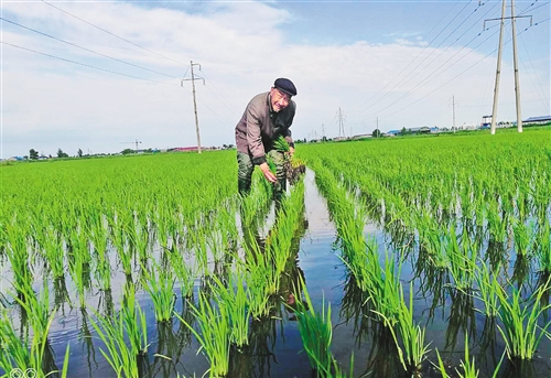 金融之水泽润沃野——吉林省农村金融改革调研