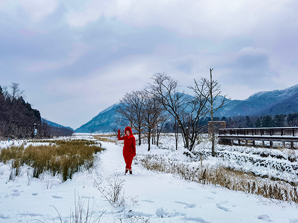 Beautiful Scenery of “Ice Flowers” Appears in Yueba Village, Guangyuan City, Sichuan Province_fororder_4