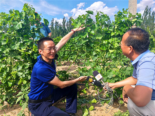 （有修改，2020年走出杨凌看示范融媒体采访团----后续稿件统一加上“年”）内蒙古乌海市：阳光田宇里出好酒