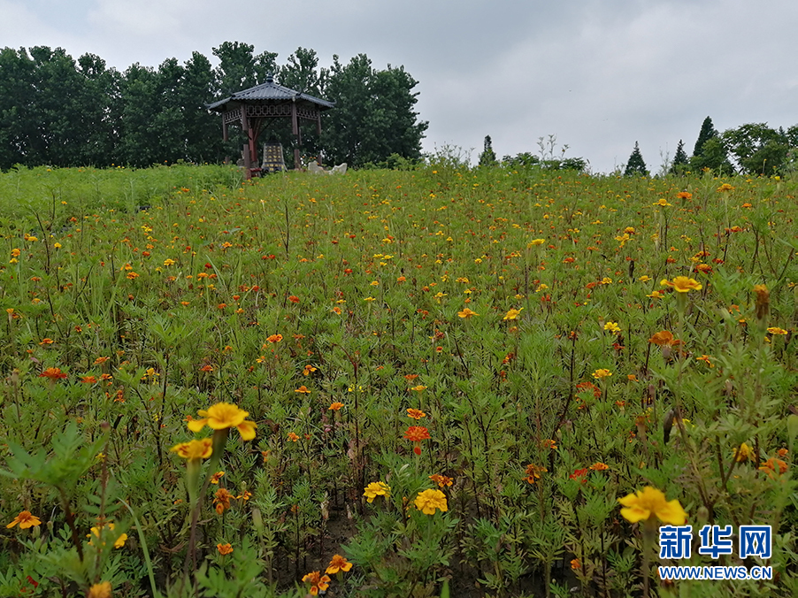 湖北仙桃市开启今夏休闲养生旅游的大幕