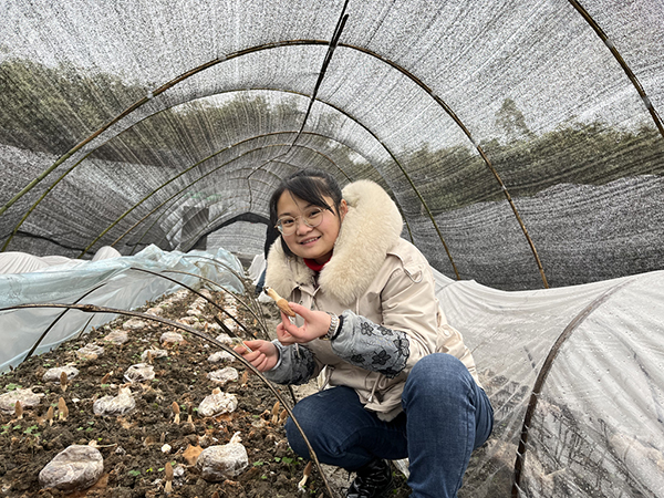 宜宾长宁：硐底羊肚菌等您来采摘_fororder_游客采摘羊肚菌