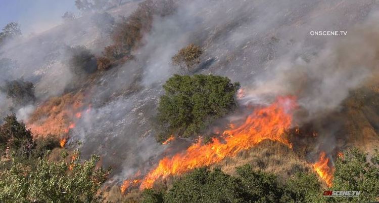 ​受高温天气影响 美国加州山火频发