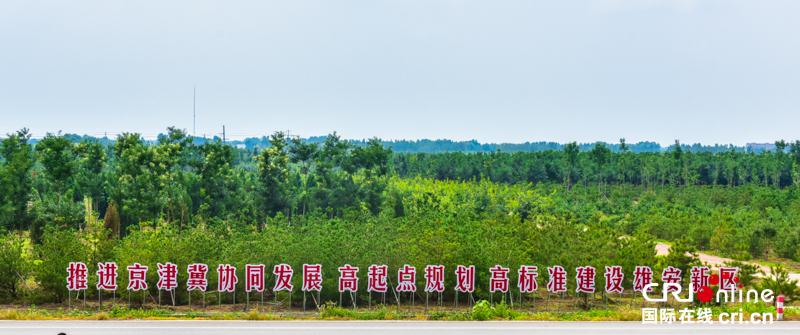 图片默认标题_fororder_3