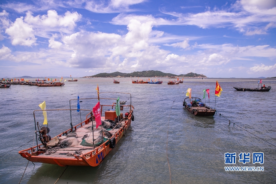 【焦点图】开洋看海 渔悦沙埔