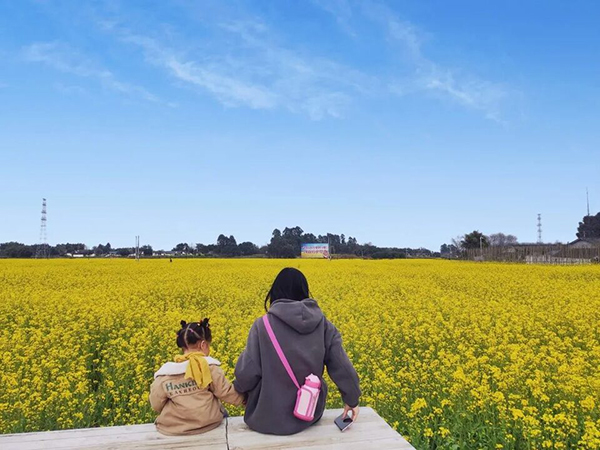 成都邛崃：油菜花盛开 乡村风景令人流连忘返_fororder_油菜花海-供图-邛崃市委宣传部2