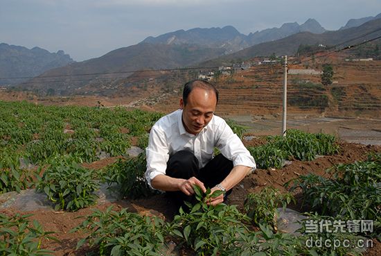 用生命撑起为民的晴空 ——追记晴隆原县委书记姜仕坤