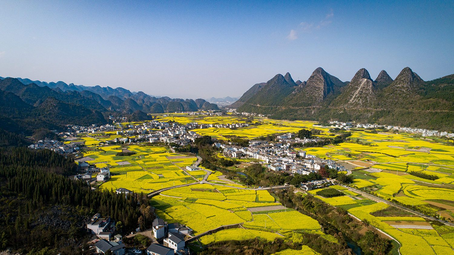 （中首）兴义万峰林：春来花好正当游