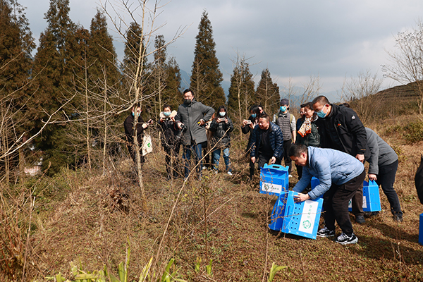 世界野生动植物日 成都市放归野生动物30只_fororder_放归野生动物现场--供图--成都市公园城市建设管理局-(2)
