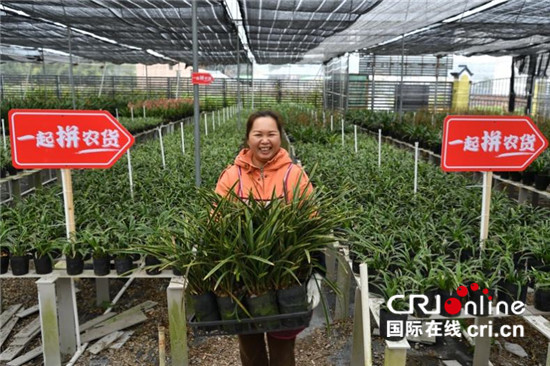 拼多多的“花花世界”：“农地云拼”助花农增收，让购花更实惠_fororder_1