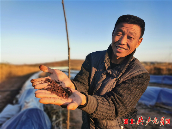 邯郸市峰峰矿区：泥土里的幸福年