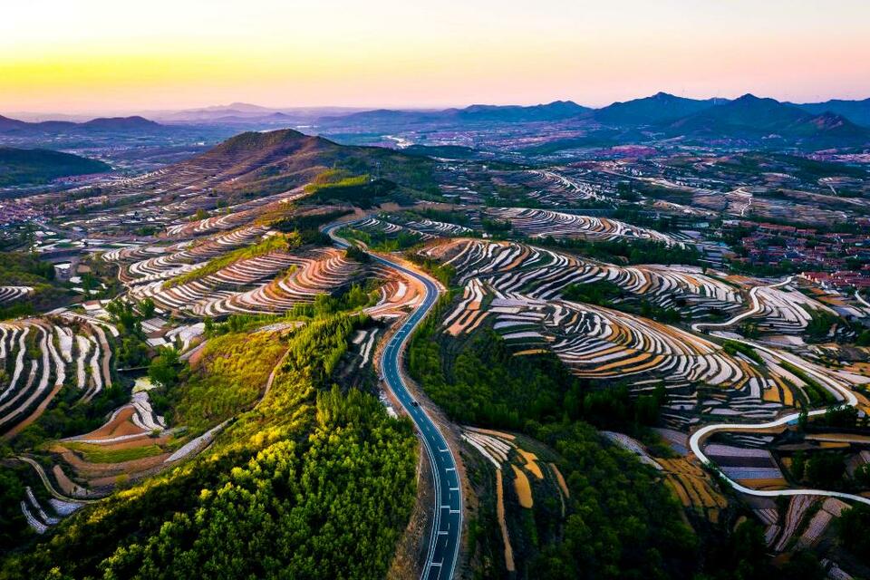 借得春风向未来——山东蹄疾步稳推进乡村振兴四年掠影