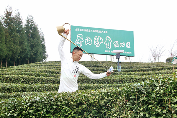 新建茶园8600余亩 宜宾屏山县推动茶产业发展 助力乡村振兴_fororder_茶艺表演-摄影-何芳1