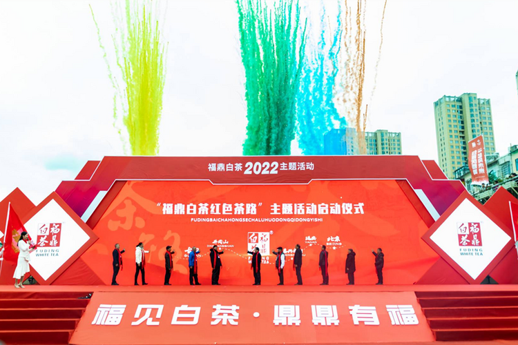 10位奥运、世界冠军力挺福鼎白茶走向世界_fororder_图片3