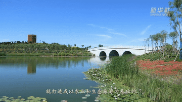 奋进新征程 建功新时代｜“钉子小镇”的绿色蝶变