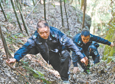 齐抓共管 守住青山林长绿_fororder_22