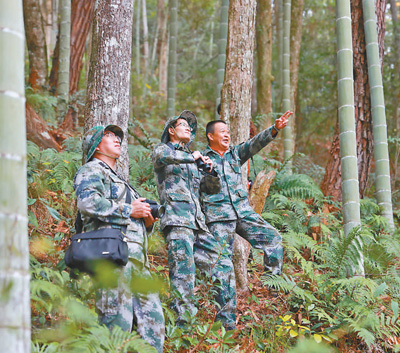 齐抓共管 守住青山林长绿_fororder_33