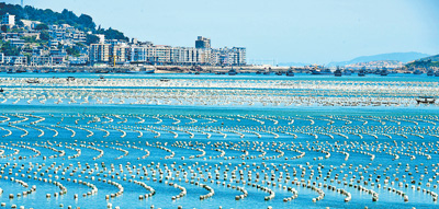 海上牧场