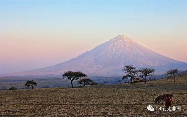 西察沃国家公园：火山岩上的马赛狮子舞