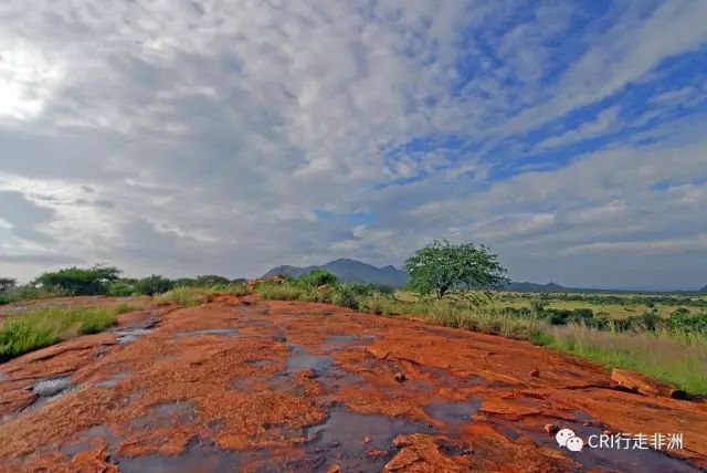 西察沃国家公园：火山岩上的马赛狮子舞