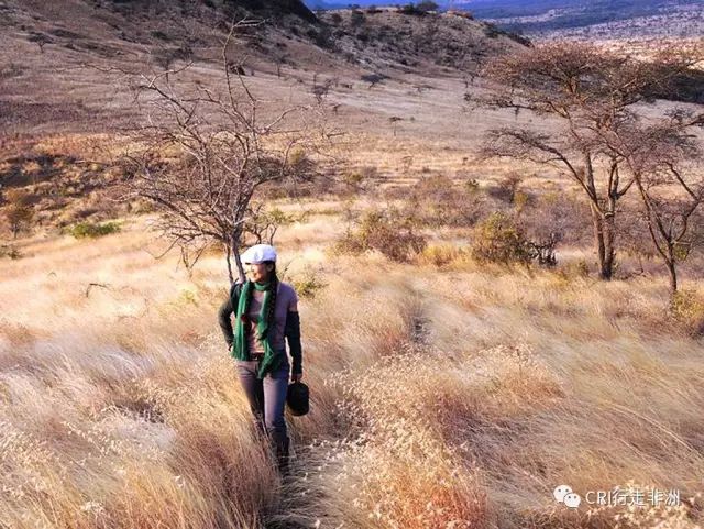 西察沃国家公园：火山岩上的马赛狮子舞