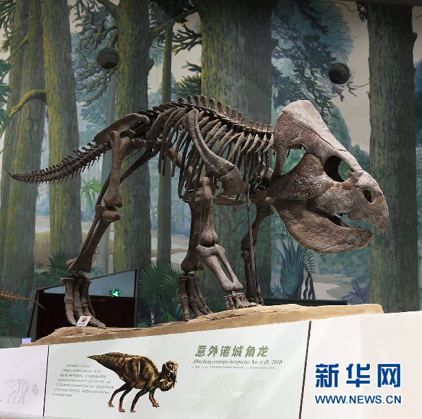 山东博物馆举办“恐龙展”