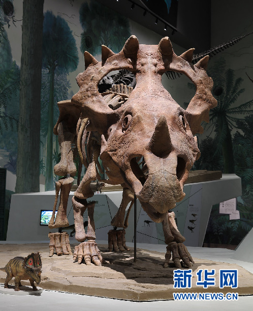 山东博物馆举办“恐龙展”